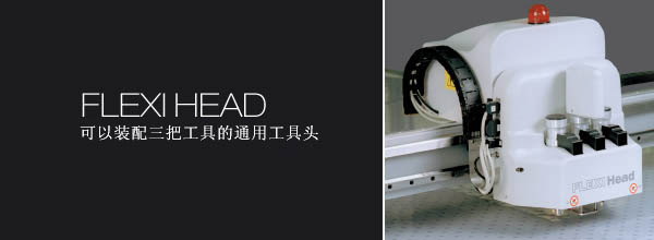 FLEXI HEAD
