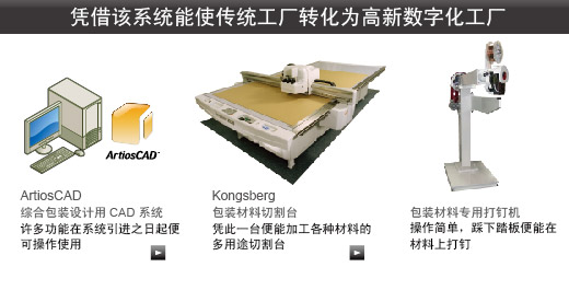 DPS(Digital Packing System)�ĵ㽨��